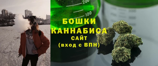 мдпв Новодвинск