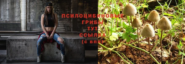 мдпв Новодвинск