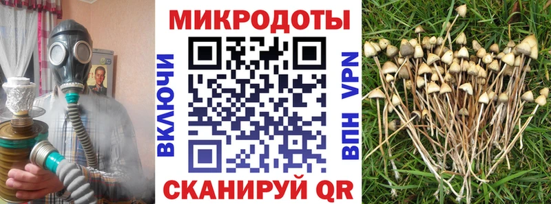 Псилоцибиновые грибы Cubensis  сколько стоит  Приозерск 
